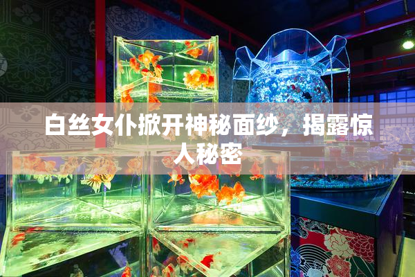 白丝女仆掀开神秘面纱，揭露惊人秘密