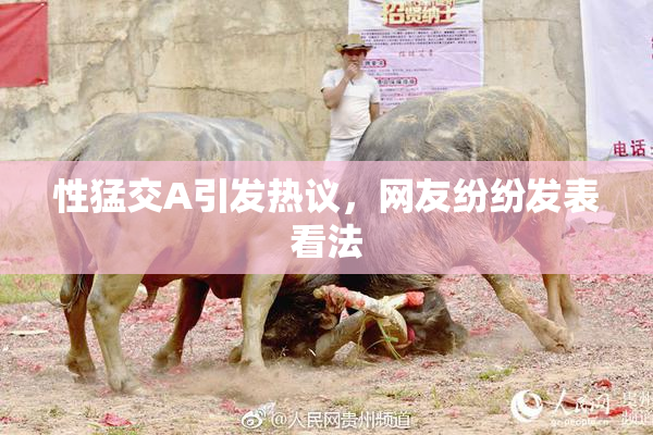 性猛交A引发热议，网友纷纷发表看法