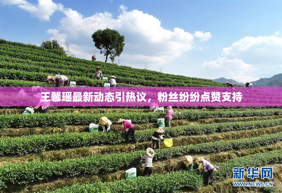 王馨瑶最新动态引热议，粉丝纷纷点赞支持