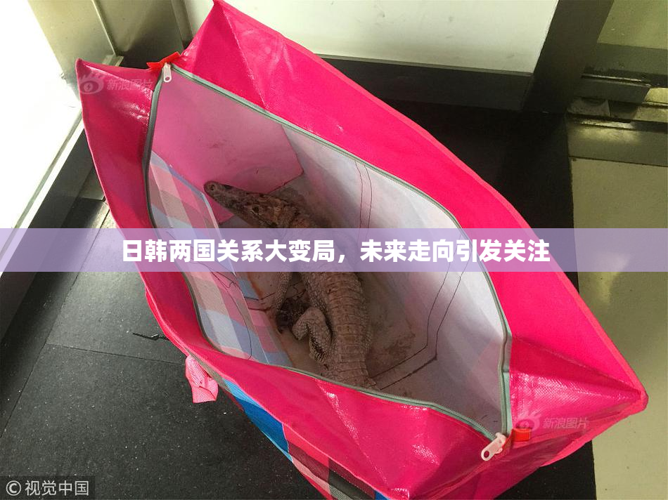 日韩两国关系大变局，未来走向引发关注