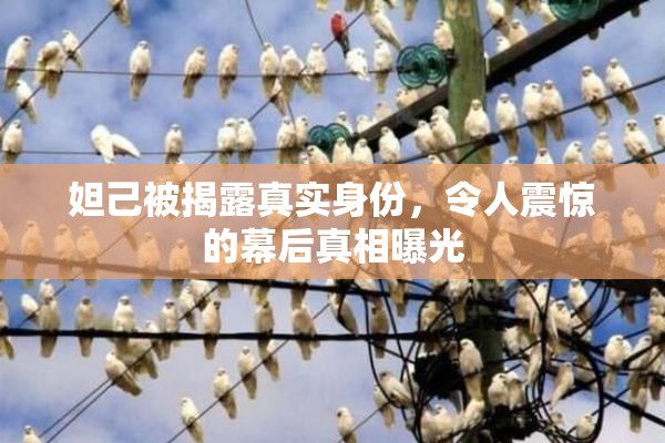 妲己被揭露真实身份，令人震惊的幕后真相曝光