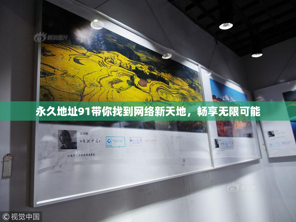 永久地址91带你找到网络新天地，畅享无限可能