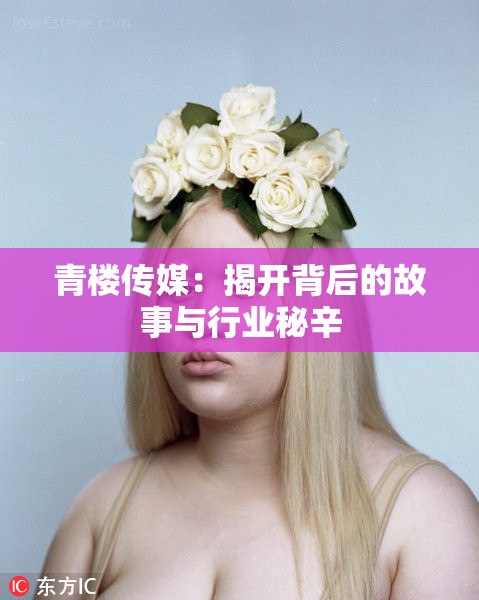 青楼传媒：揭开背后的故事与行业秘辛