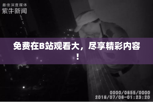 免费在B站观看大，尽享精彩内容！