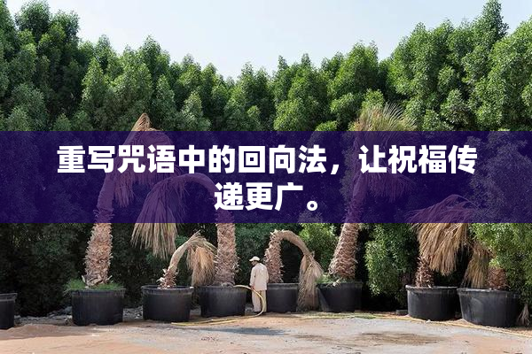 重写咒语中的回向法，让祝福传递更广。