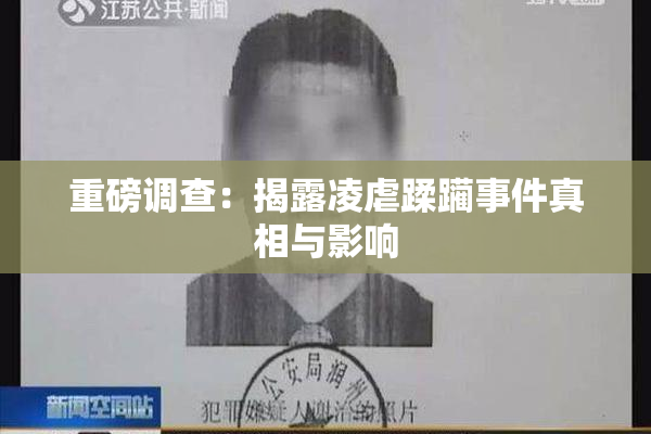 重磅调查：揭露凌虐蹂躏事件真相与影响