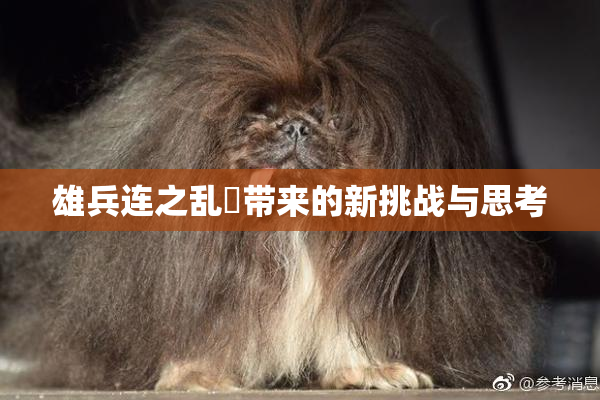 雄兵连之乱婬带来的新挑战与思考