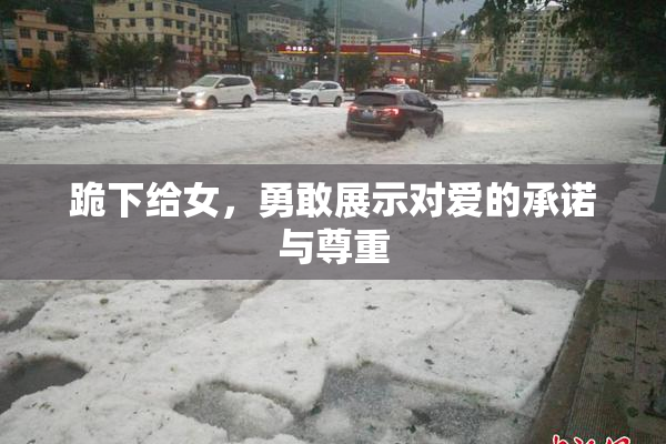跪下给女，勇敢展示对爱的承诺与尊重