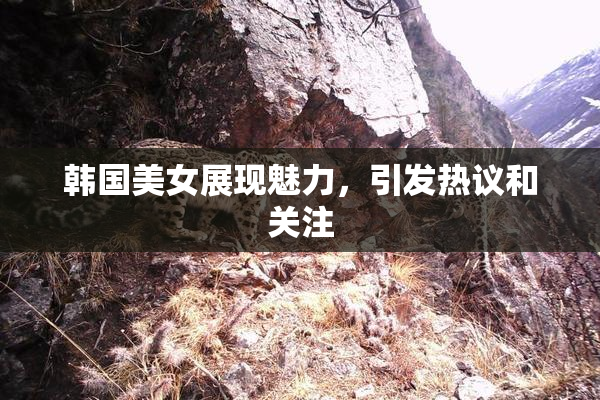 韩国美女展现魅力，引发热议和关注