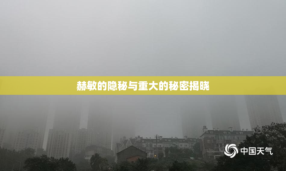 赫敏的隐秘与重大的秘密揭晓