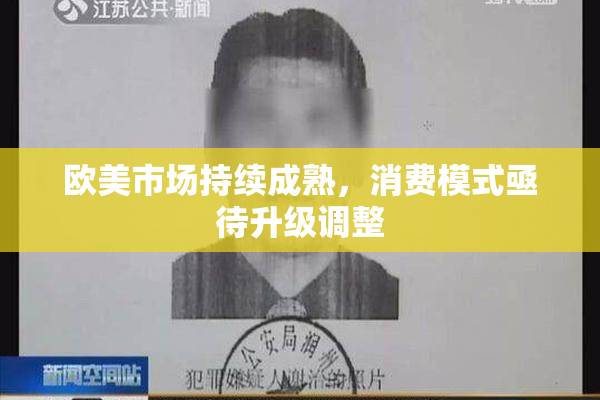 欧美市场持续成熟，消费模式亟待升级调整