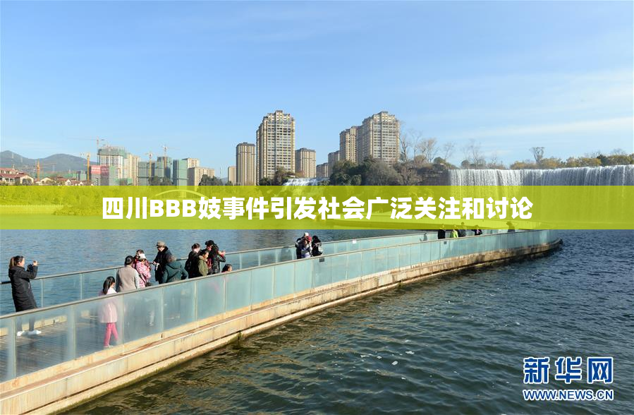 四川BBB妓事件引发社会广泛关注和讨论