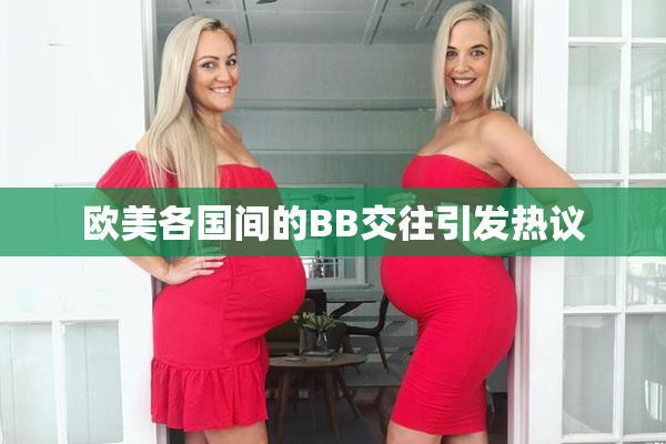 欧美各国间的BB交往引发热议