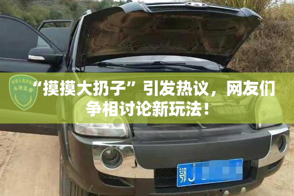 “摸摸大扔子”引发热议，网友们争相讨论新玩法！