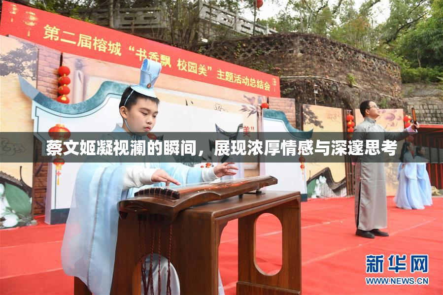 蔡文姬凝视澜的瞬间，展现浓厚情感与深邃思考