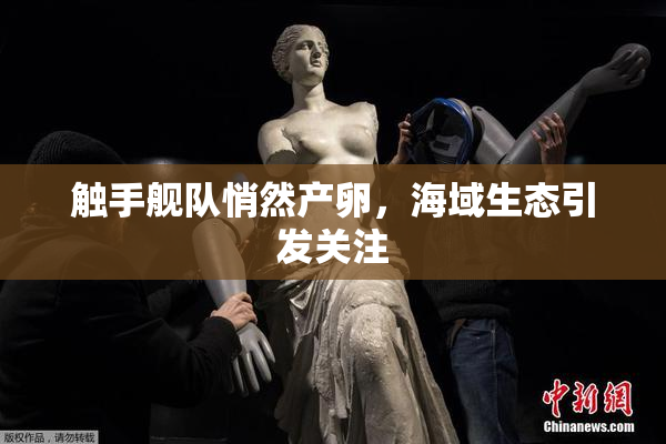 触手舰队悄然产卵，海域生态引发关注