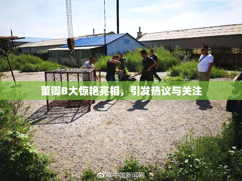 董卿B大惊艳亮相，引发热议与关注
