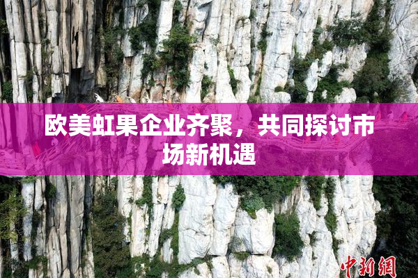 欧美虹果企业齐聚，共同探讨市场新机遇