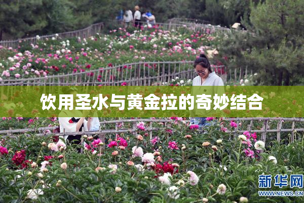 饮用圣水与黄金拉的奇妙结合