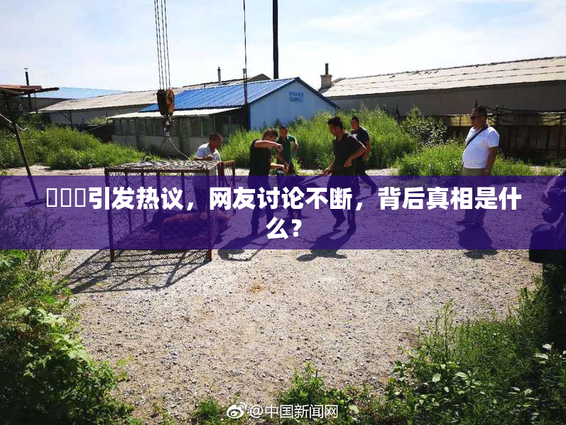 逹葢薾引发热议，网友讨论不断，背后真相是什么？