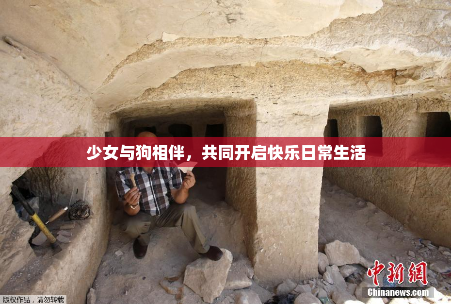 少女与狗相伴，共同开启快乐日常生活
