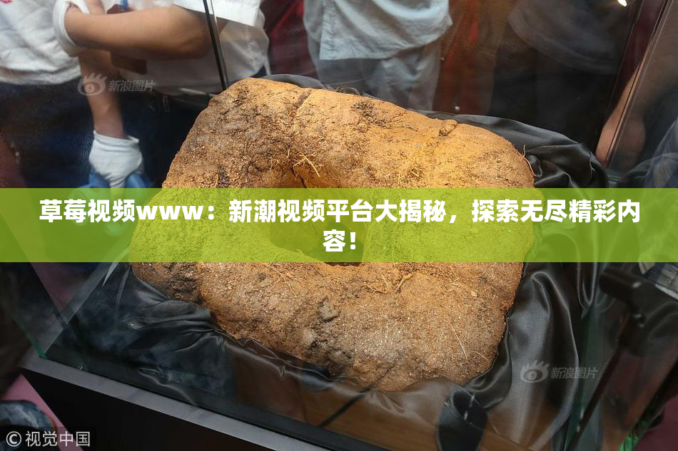 草莓视频www：新潮视频平台大揭秘，探索无尽精彩内容！
