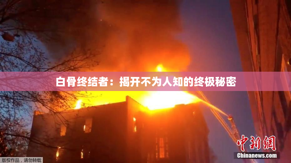 白骨终结者：揭开不为人知的终极秘密