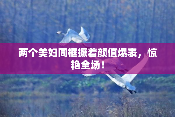 两个美妇同框撅着颜值爆表，惊艳全场！