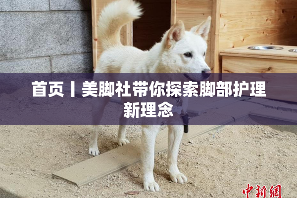 首页丨美脚社带你探索脚部护理新理念