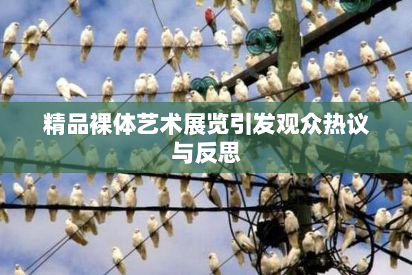 精品裸体艺术展览引发观众热议与反思