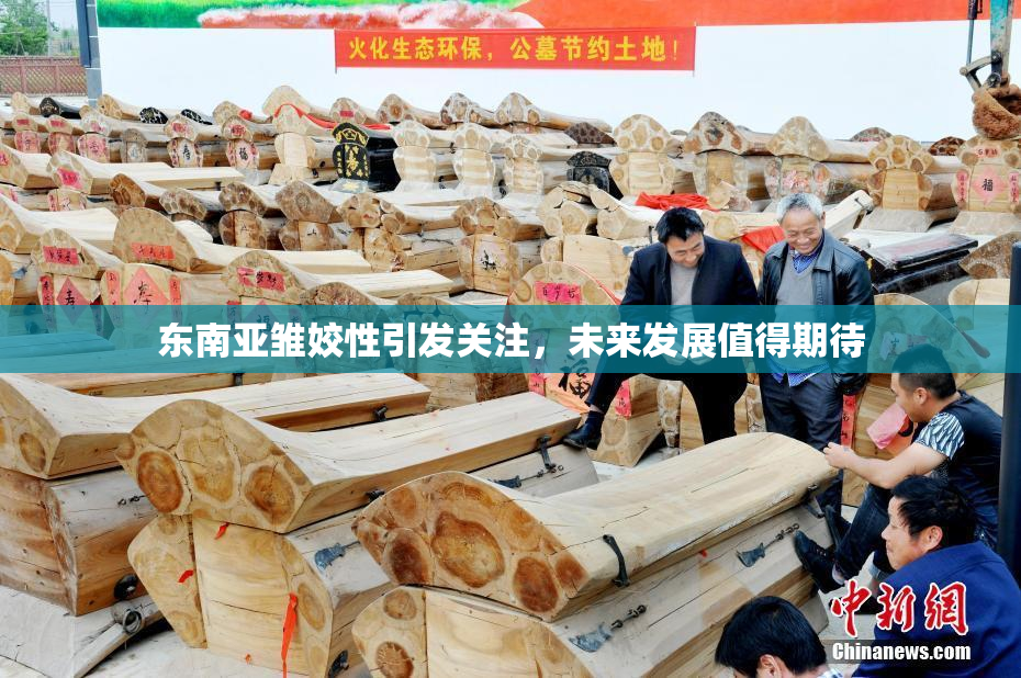 东南亚雏姣性引发关注，未来发展值得期待