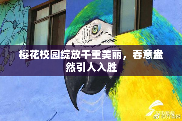 樱花校园绽放千重美丽，春意盎然引人入胜