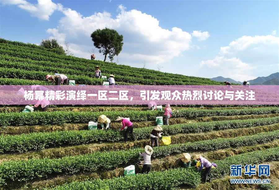 杨幂精彩演绎一区二区，引发观众热烈讨论与关注