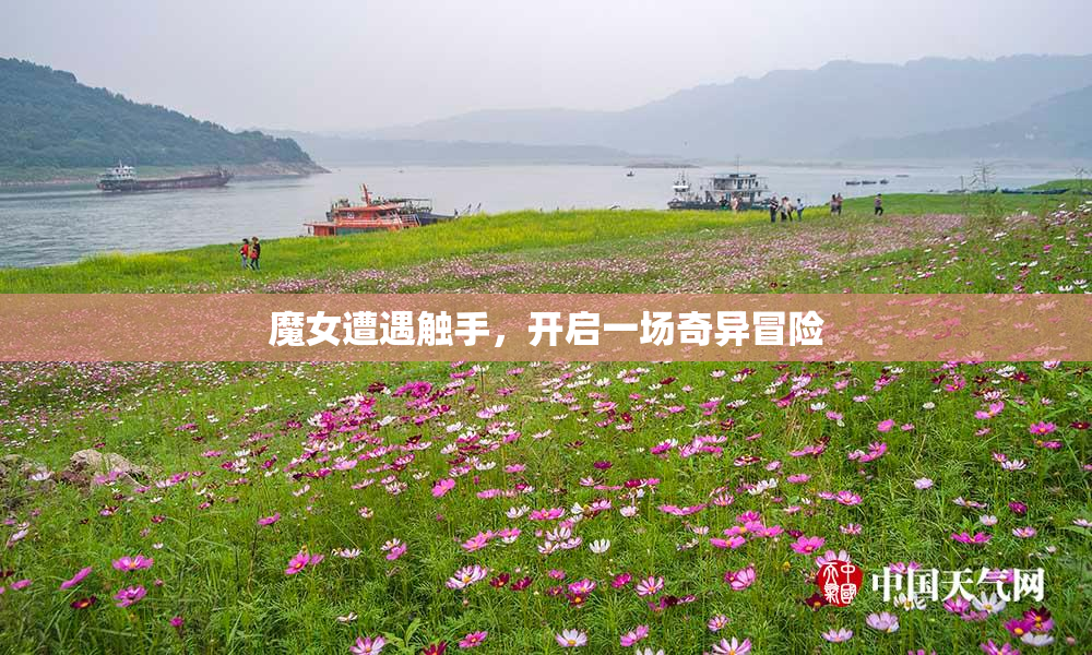 魔女遭遇触手，开启一场奇异冒险