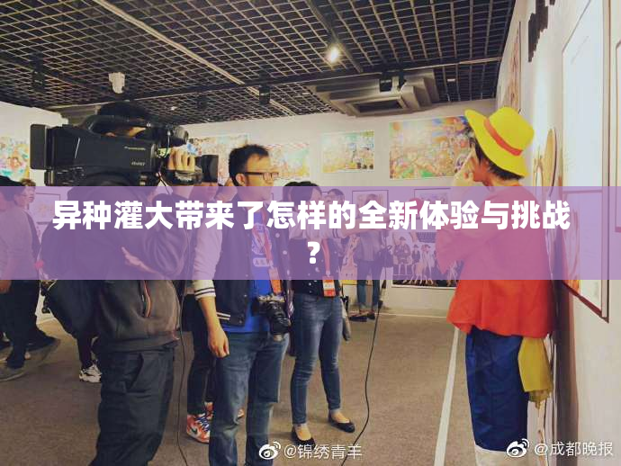 异种灌大带来了怎样的全新体验与挑战？