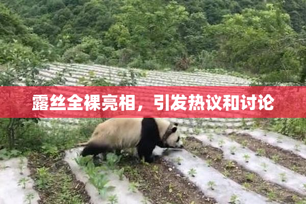 露丝全裸亮相，引发热议和讨论