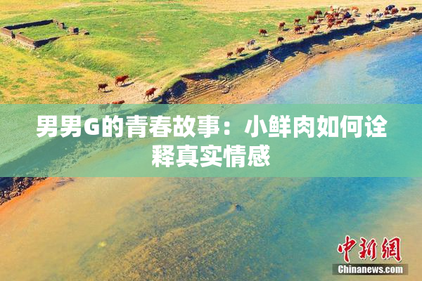 男男G的青春故事：小鲜肉如何诠释真实情感