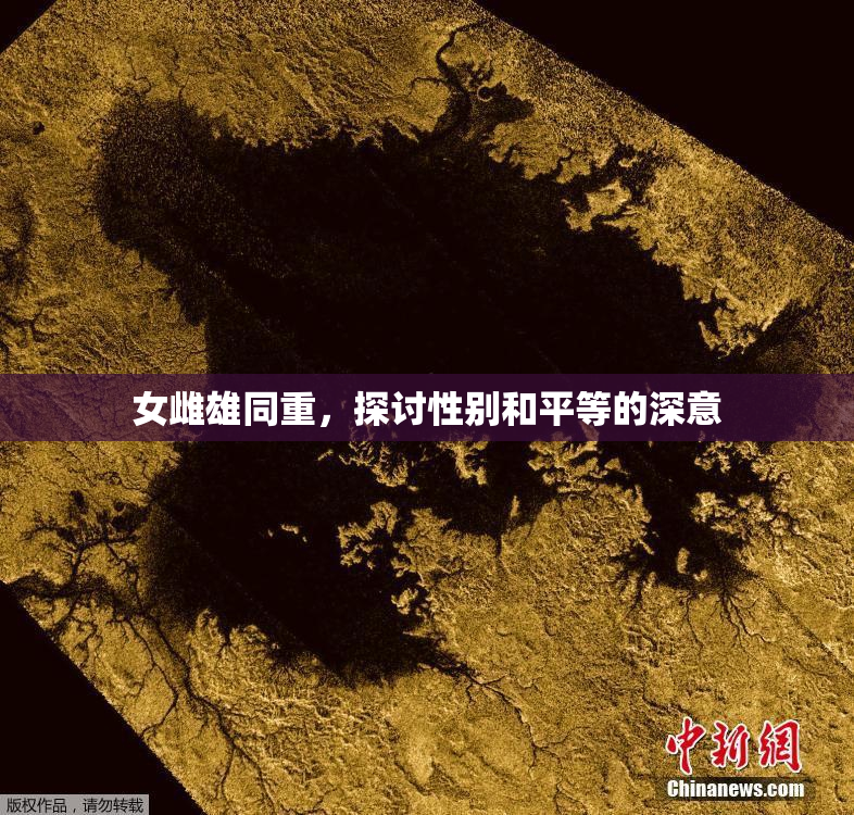女雌雄同重，探讨性别和平等的深意