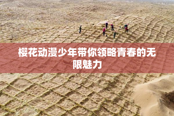樱花动漫少年带你领略青春的无限魅力