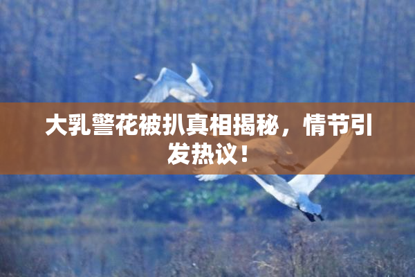 大乳警花被扒真相揭秘，情节引发热议！
