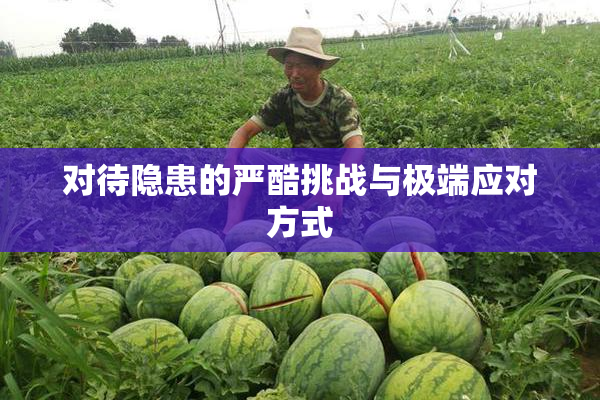 对待隐患的严酷挑战与极端应对方式