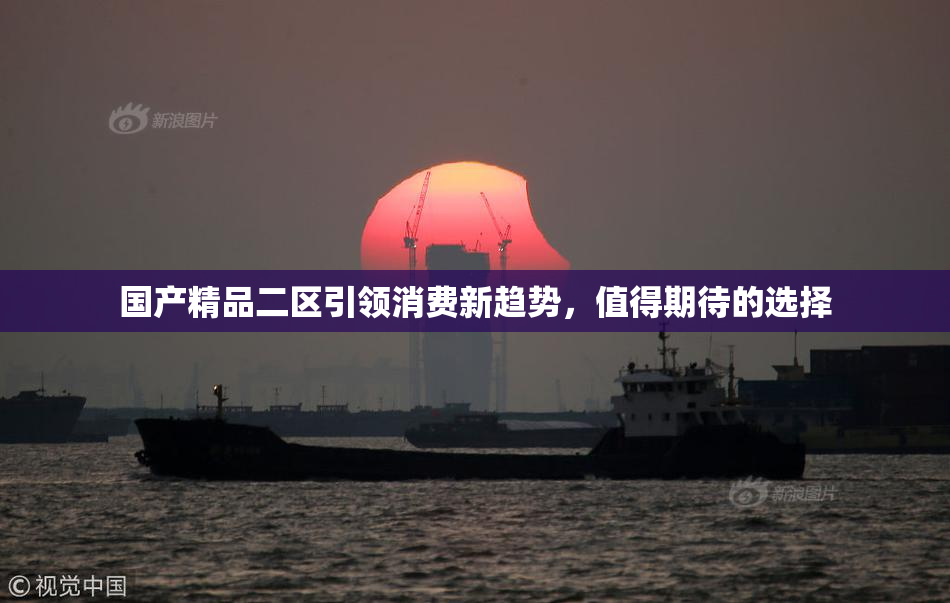 国产精品二区引领消费新趋势，值得期待的选择