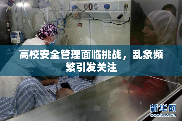 高校安全管理面临挑战，乱象频繁引发关注