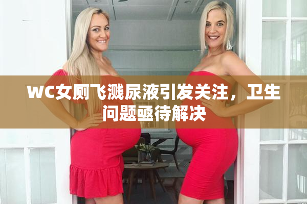 WC女厕飞溅尿液引发关注，卫生问题亟待解决