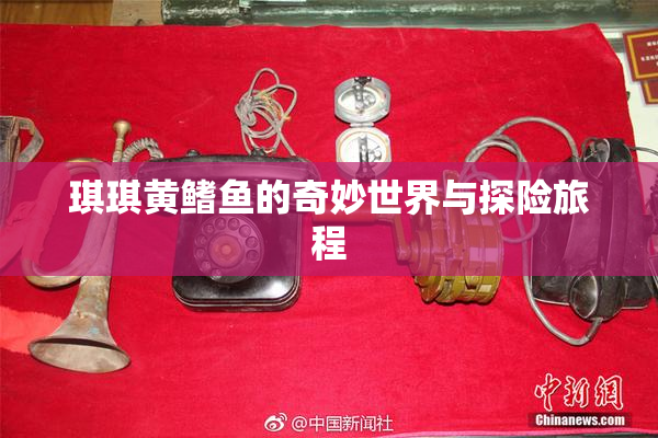 琪琪黄鳍鱼的奇妙世界与探险旅程