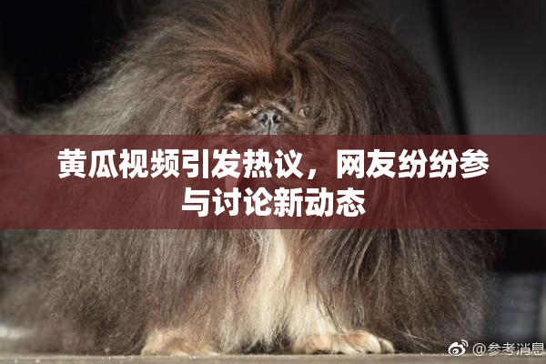 黄瓜视频引发热议，网友纷纷参与讨论新动态