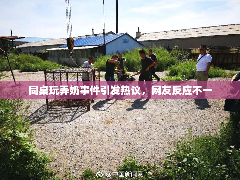 同桌玩弄奶事件引发热议，网友反应不一