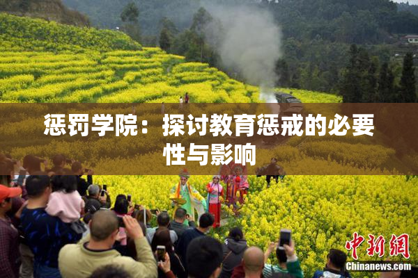 惩罚学院：探讨教育惩戒的必要性与影响