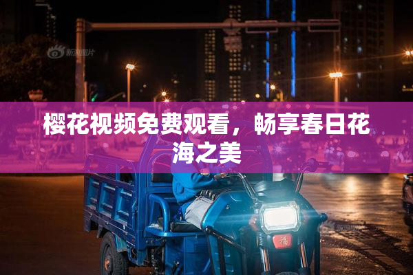 樱花视频免费观看，畅享春日花海之美