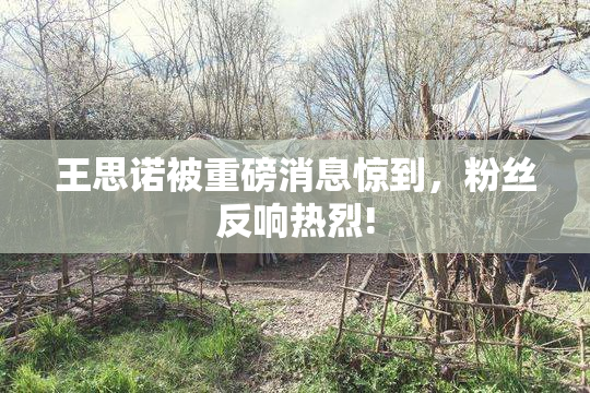 王思诺被重磅消息惊到，粉丝反响热烈!